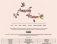 Tablet Screenshot of amazingnature.us